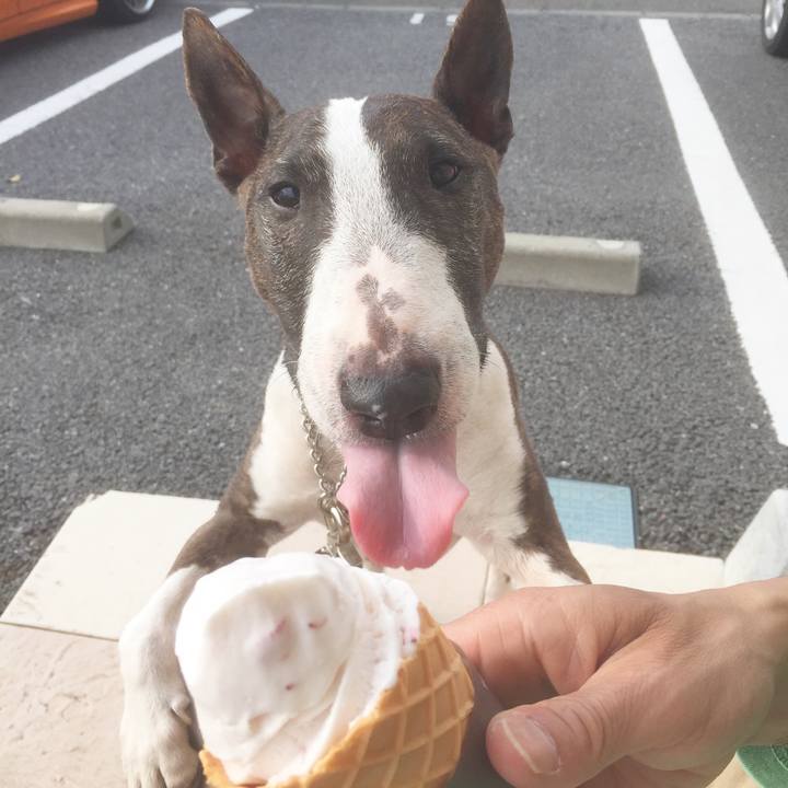 7ad2af0a 94ad 4719 91ad 271af89cfffe