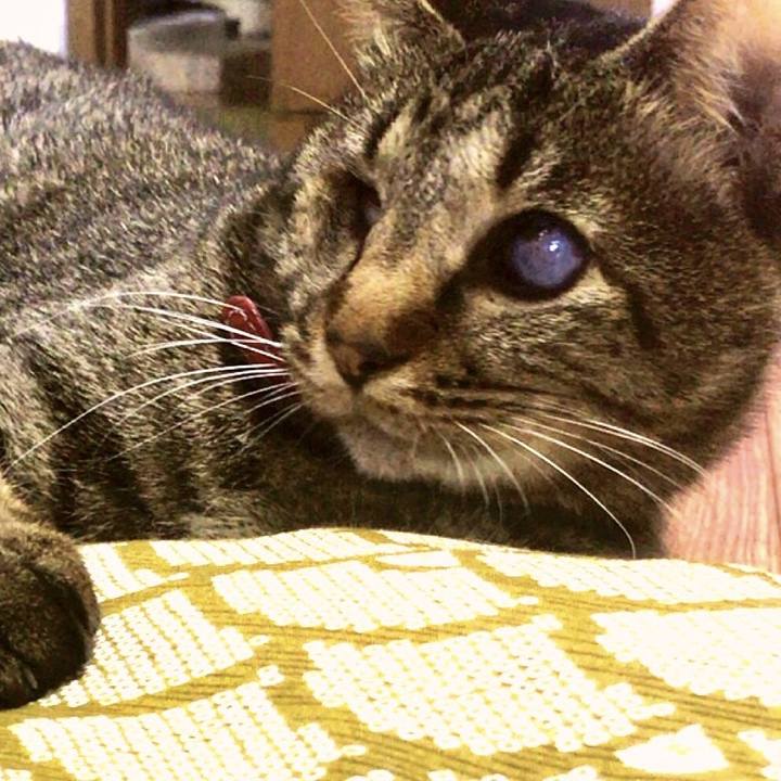 7ad2cadb d74c 443e b69b 4cc5a7d926c6