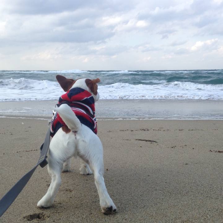 7ad2ee7f c7d4 4349 b1e4 84989bd1dba1