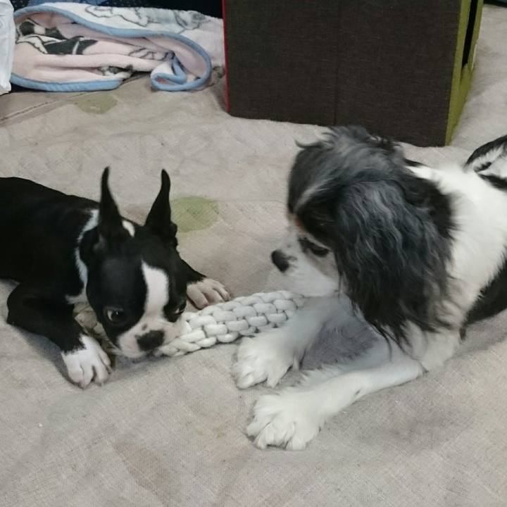 7ad30fe3 7805 4f7e 8fae 3fe624e75187