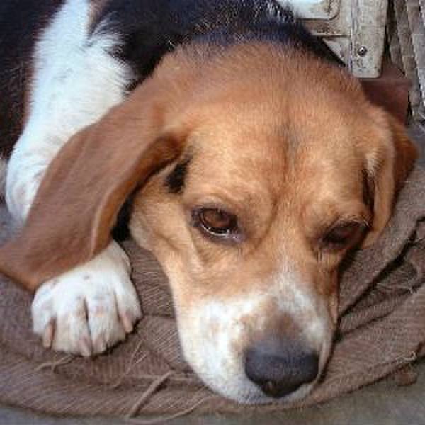 7ad33014 8381 4ce5 87c3 ec2298ed3352