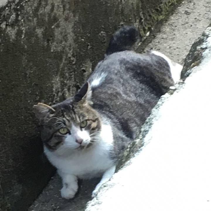 7ad3ebe5 e55e 4458 be2f 50ddc629162b