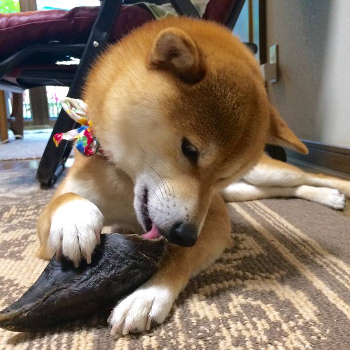 7ad471d8 3c2e 47a5 8f49 46a240c89168