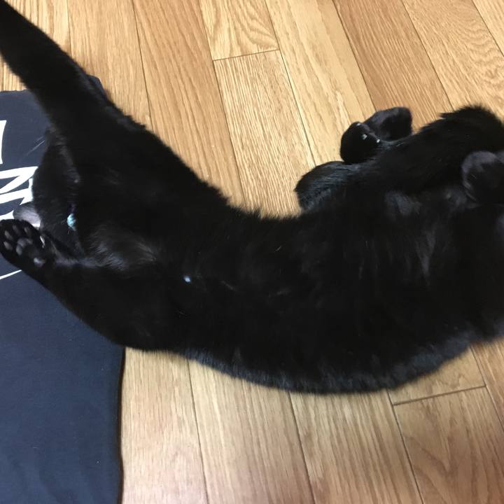 7ad47e14 2e01 49ef 8314 68c618b30c80