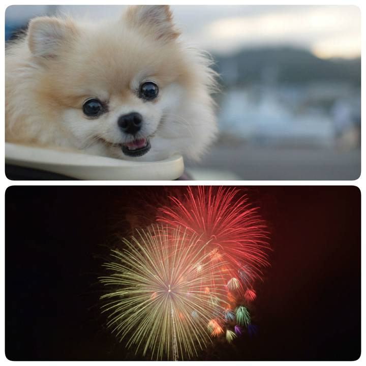 7ad48ec2 6c5b 43a2 b6fc 89c6d0385443