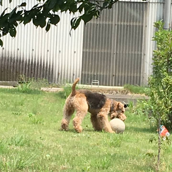 7ad56d72 0956 497d 86a3 f04c95b41abc