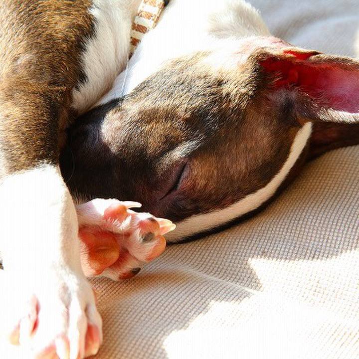 7ad5bd86 0406 4bfd 8e68 85a8da1f8fc4