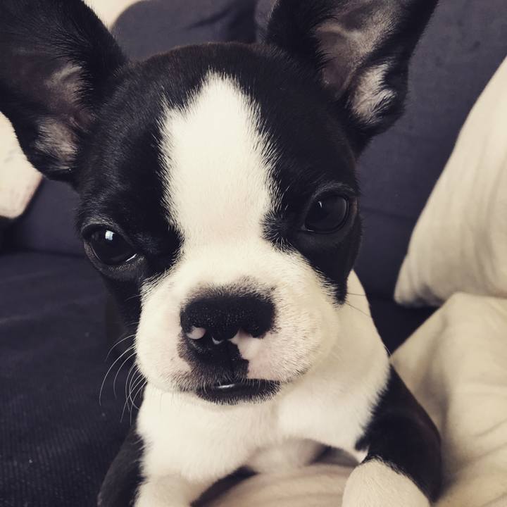 7ad61439 4b21 4805 afca 58c773b84c9b