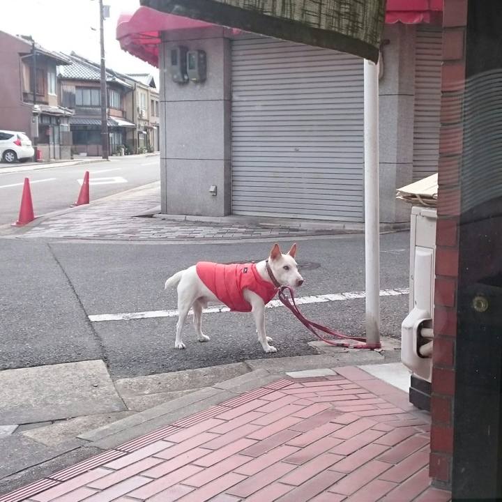 7ad62ddd 92eb 4960 aa34 3104ca1b6a5d