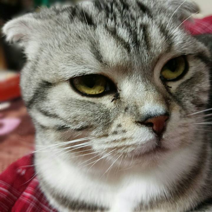 7ad65bba 9a9d 48cc 83e5 cb38de6c10e6