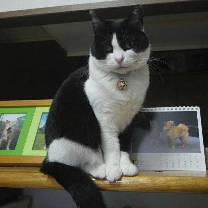 7ad6b7f7 512f 4a94 946c 9f7b9686541e