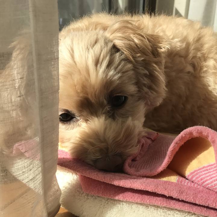 7ad7c375 91e0 4d2b 849f 2ac67d47abb3