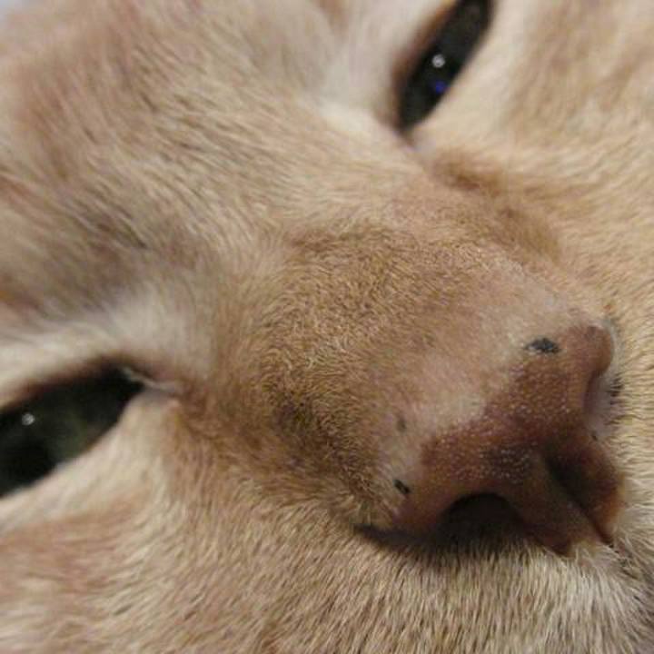 7ad8c025 7da6 4ea1 921e fba7eed6b9b2