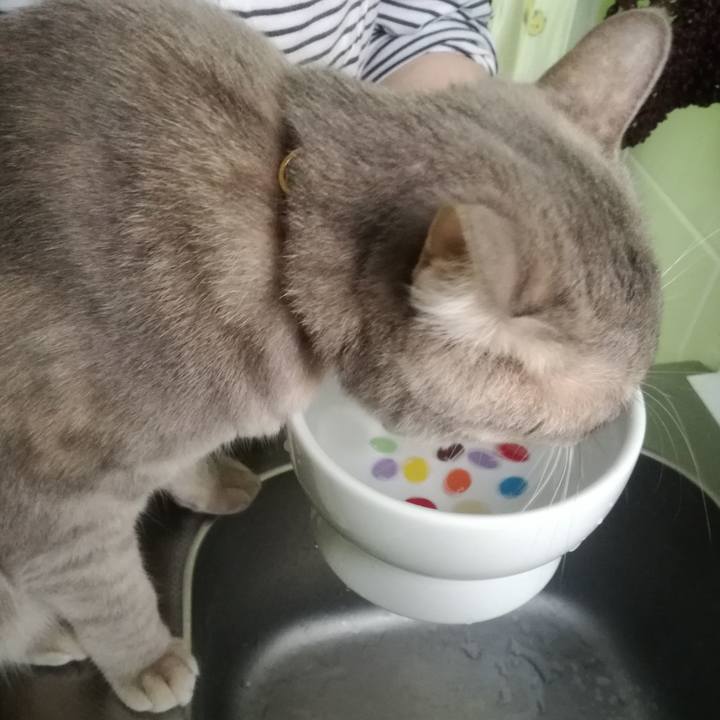 7ad99cb6 46a2 4c20 a018 949832a198b6