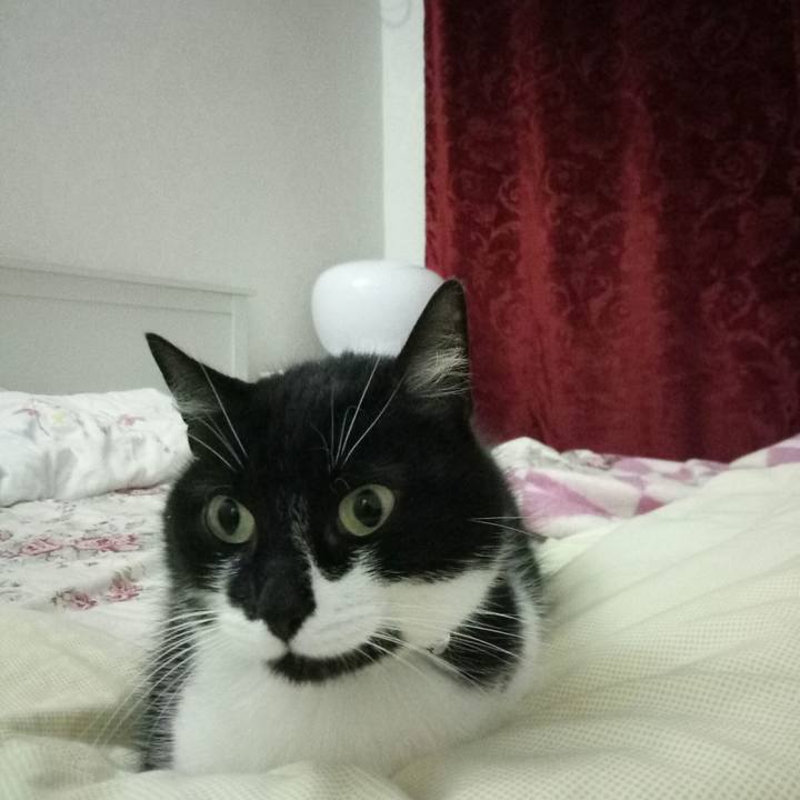 7adb1f36 a0bd 4eb2 818d 955293ce5af7