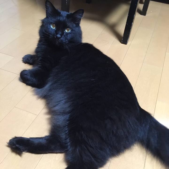 7adbde12 8eed 497f 8482 c40b850761ff