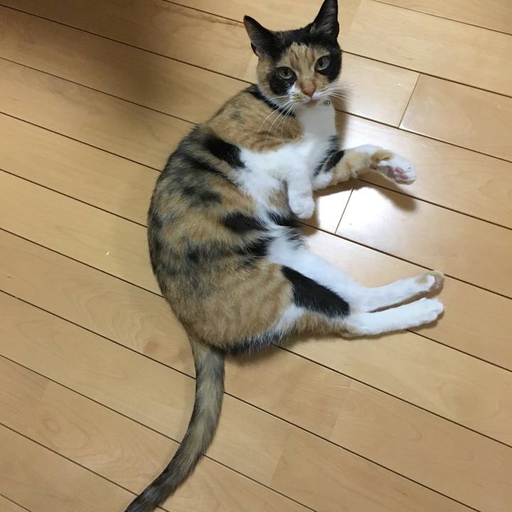 7adc2da1 a338 49c1 b22d 1f4ae6cd0d13