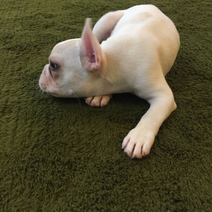 7adc6554 9994 4c0d a971 e7655219a56d