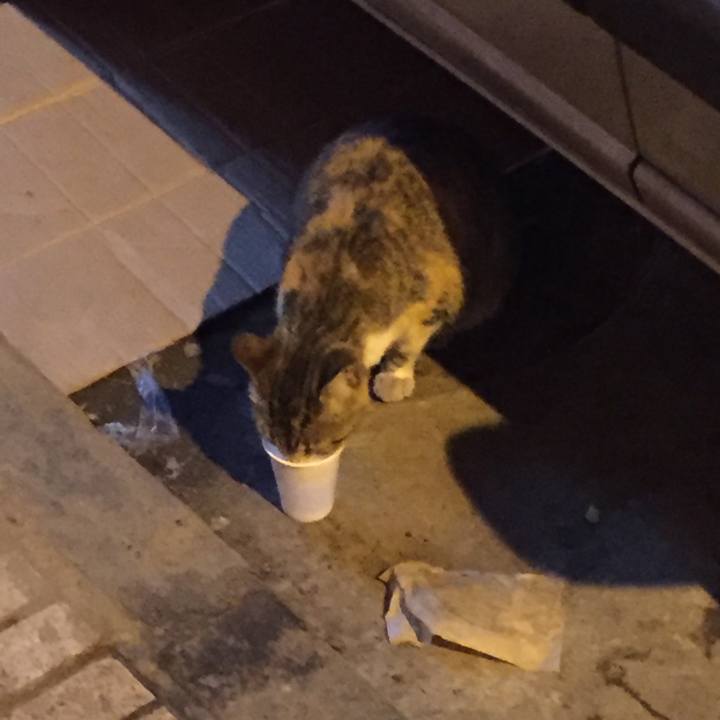 7add23ea 2dea 45ea 895d c72a3b6462dc