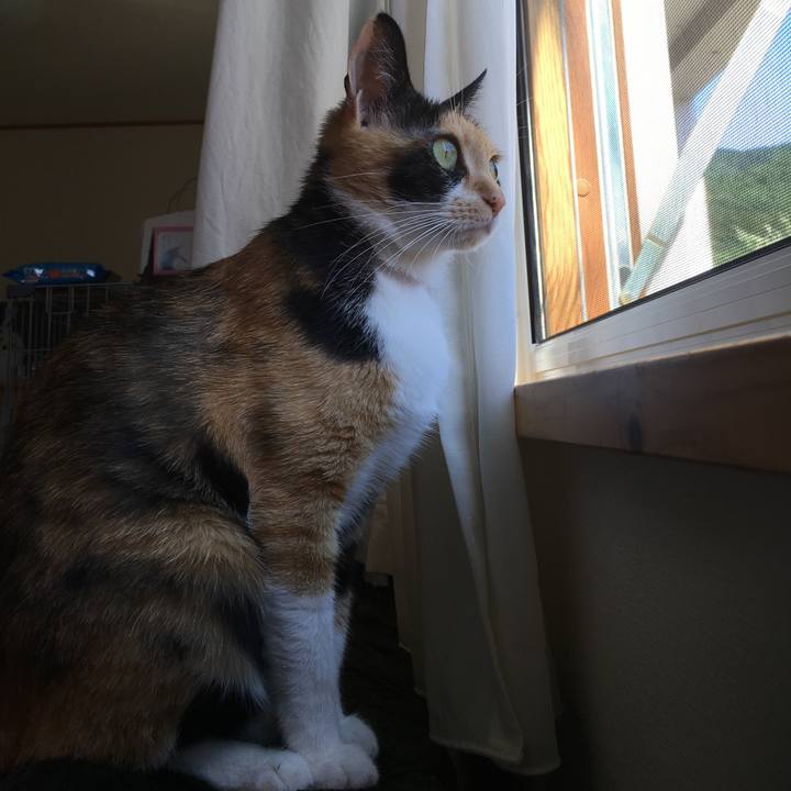 7ade7ab9 e5cc 4e6f b071 f37c31f24e51