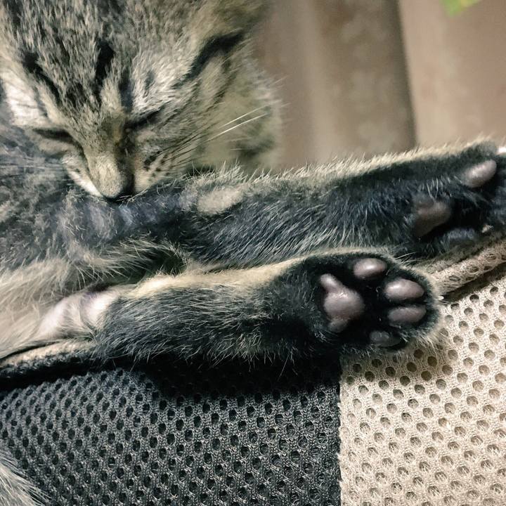 7adea7bb 1598 4d8f b1f5 d6b6d2a4d057