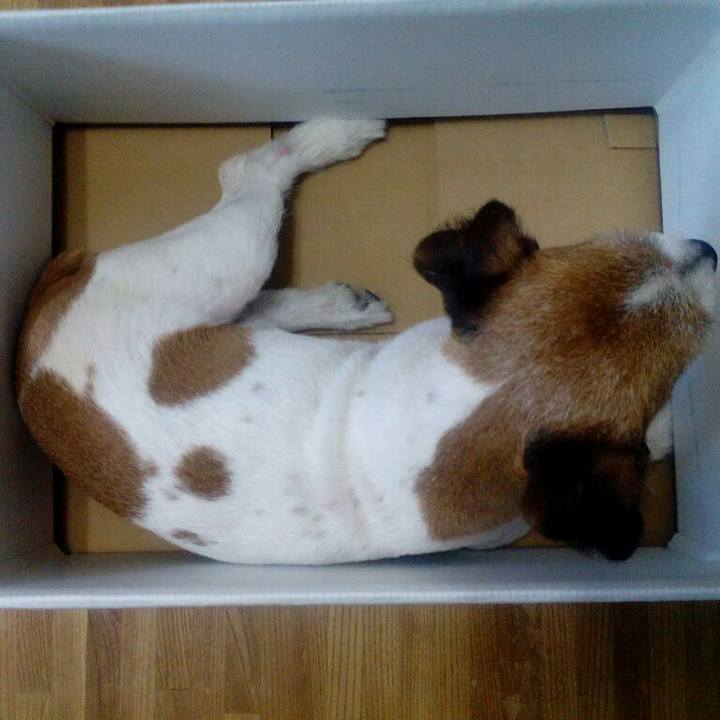 7adee971 97c9 42e4 b057 f3709a0771fb