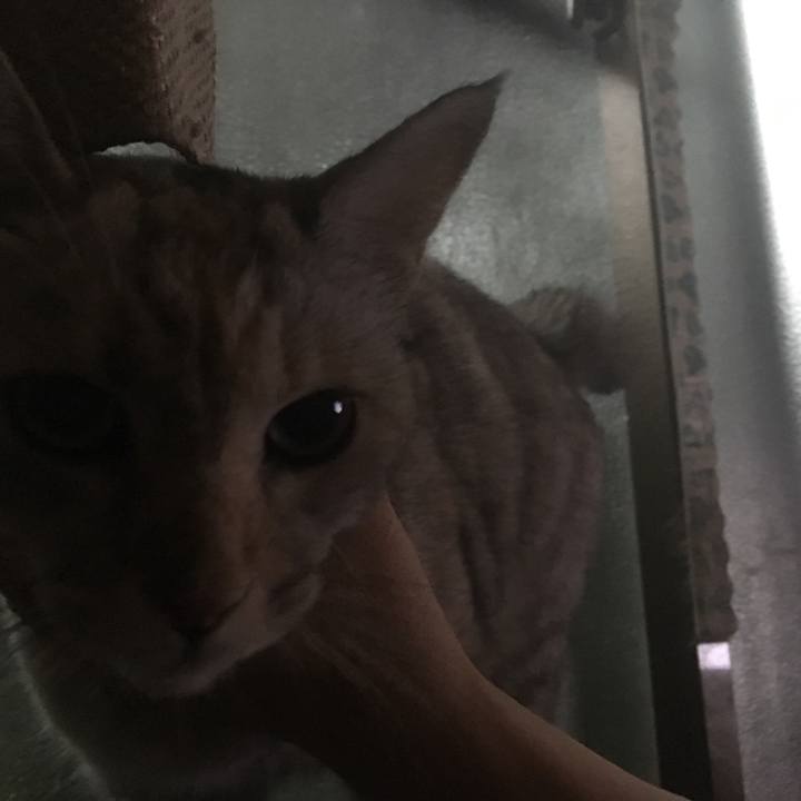 7adfabf9 4314 4e27 8268 26fd4d0e968c