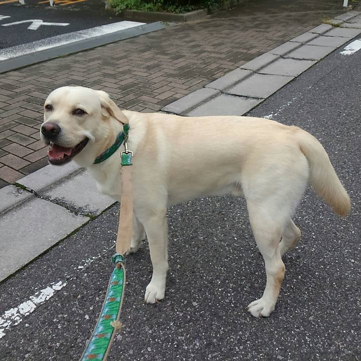 7ae02e7c 9b61 450e 86b5 b8bd659f81f1