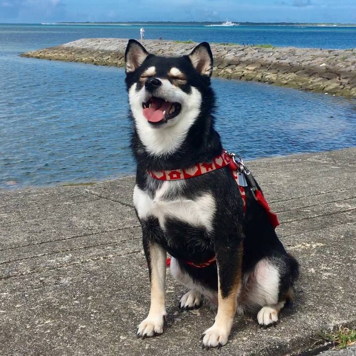 7ae0dfce 1fba 422d bdad e7922315a17c