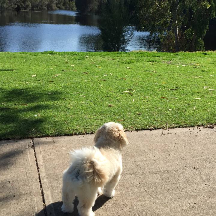 7ae0fa21 2f7d 4c31 a613 b1270ad72a51