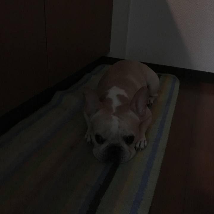 7ae10896 f77d 49ac b4e7 2a3b5df7e3db