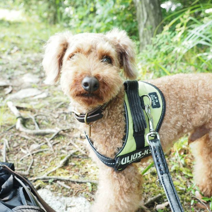 7ae18379 5422 424e 88ea 343795593053