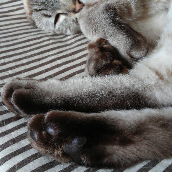 7ae227b1 8341 4f68 a4d6 409e9e6ee9fd