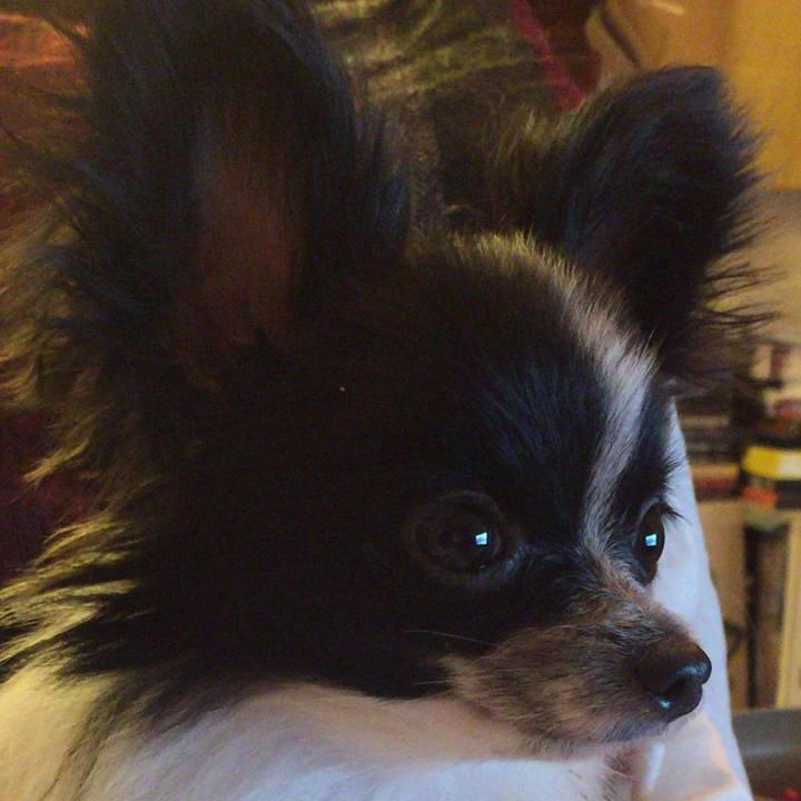 7ae24f0f 6486 42dd 9487 234b2124e6b5