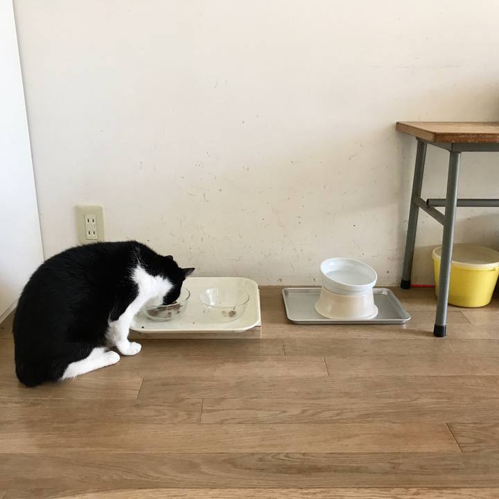 7ae297d8 eec1 4c47 9fa6 b8bb4018d7c2