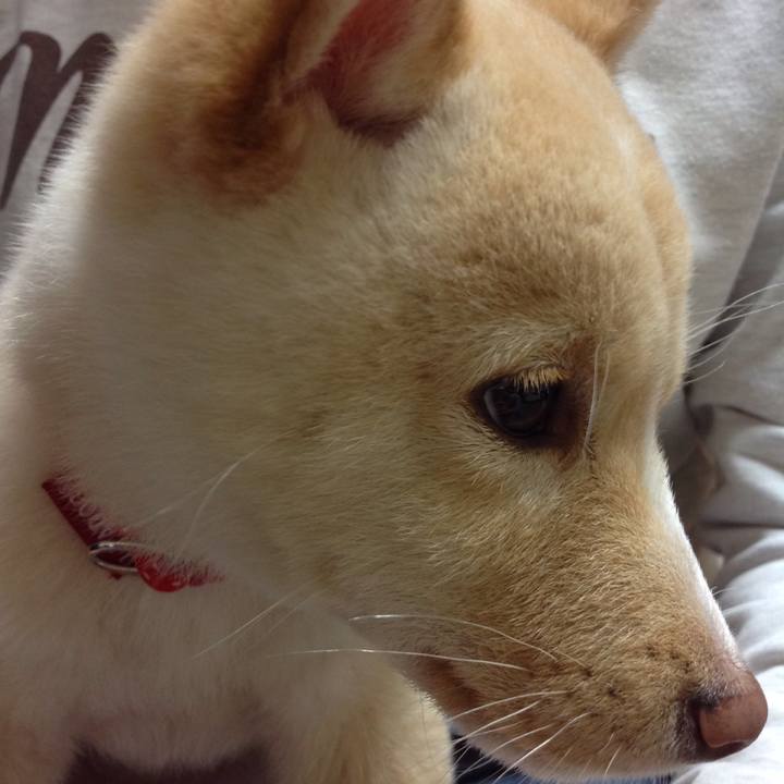 7ae2d52f de47 4698 a021 faab25441c5a