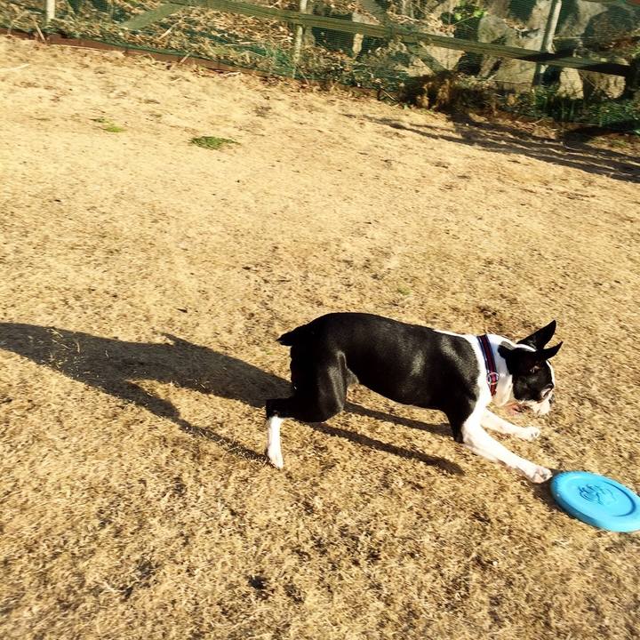 7ae32680 3577 4e86 b2e0 c38cca628115