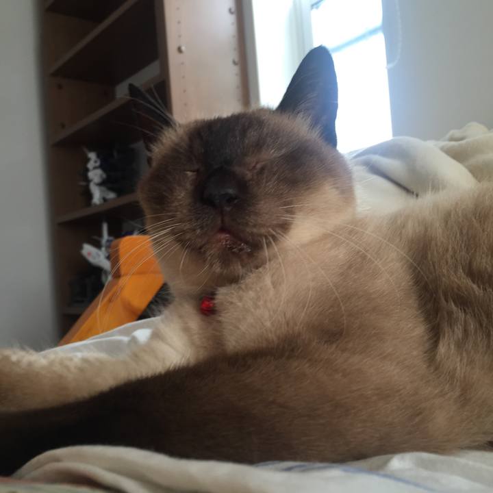 7ae3b8e9 a0d3 498e b5f2 07c292577e41