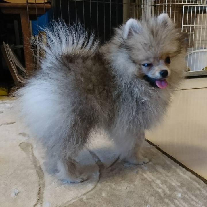 7ae4bd2f 8cff 4477 8ff9 c6d54d49f073