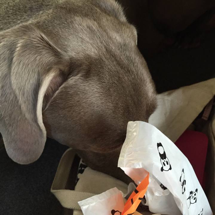 7ae5029e e758 4c0f 895a aae916d0f6b0