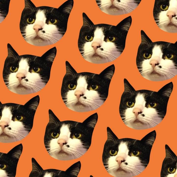 7ae5697c b32f 4da2 9b3f b9e03c64802f