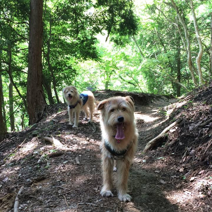 7ae59d23 0ef9 4f2c a366 cf62b0ed2103