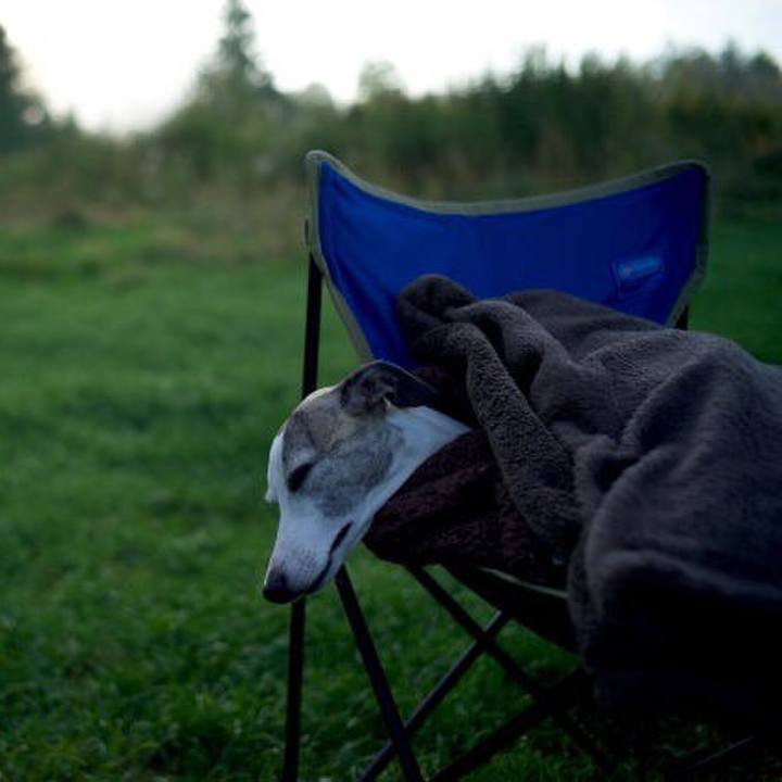 7ae5b2f0 8230 401d 8387 5735c9e48fb3