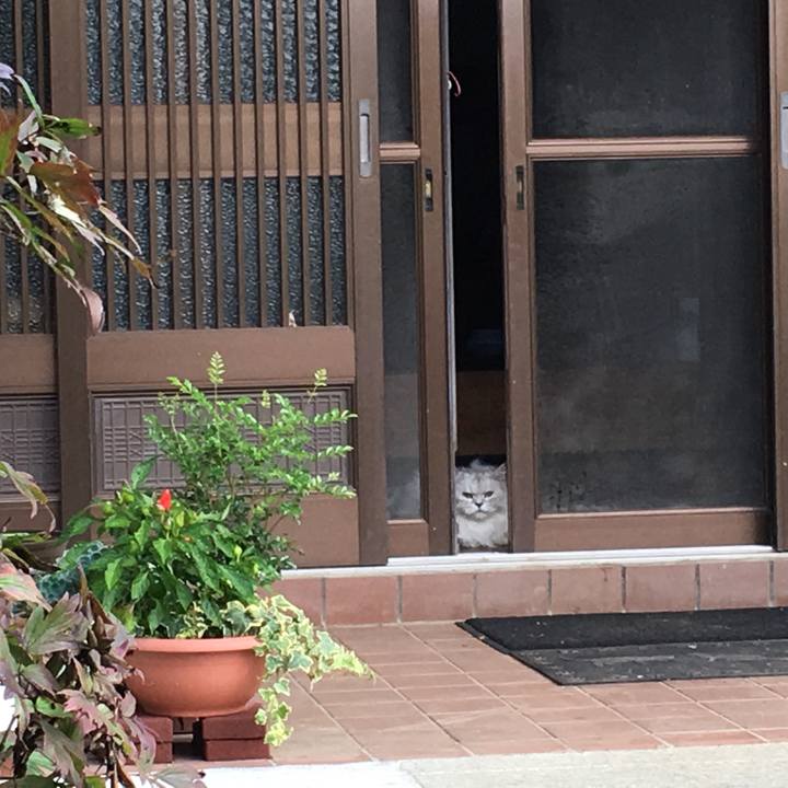 7ae6bd20 b5e2 4475 b577 2f7706379197