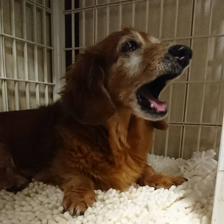 7ae6e86d 3d0a 4404 a6cb 44d16c6a27b9