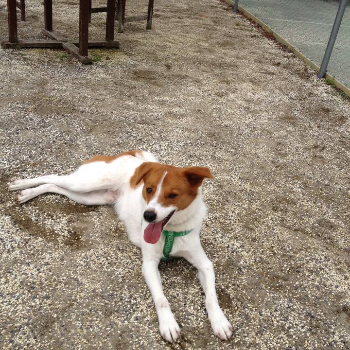 7ae6fe85 f752 4fb9 b799 165b79650442