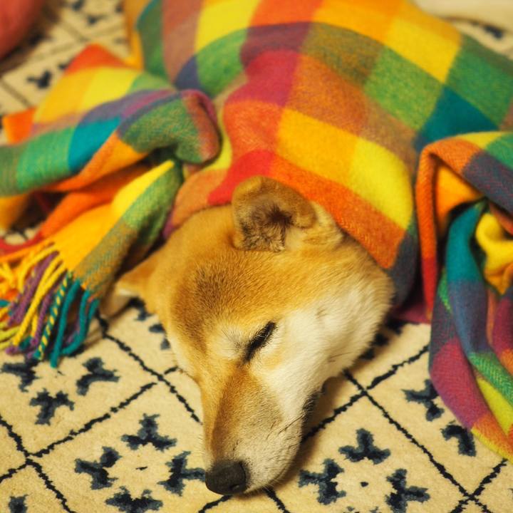 7ae76621 a7c0 463b a133 e4142c042239