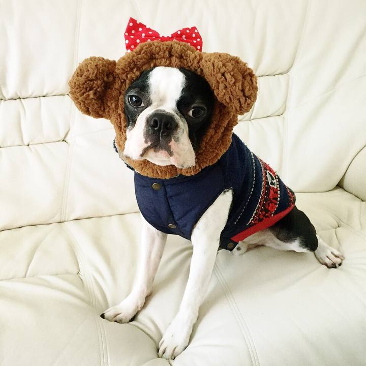 7ae7a66e f977 4ed5 9ee7 dc48de4a2743