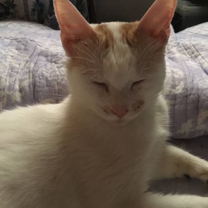 7ae7be54 8521 4dd3 a346 bf5f5dece943