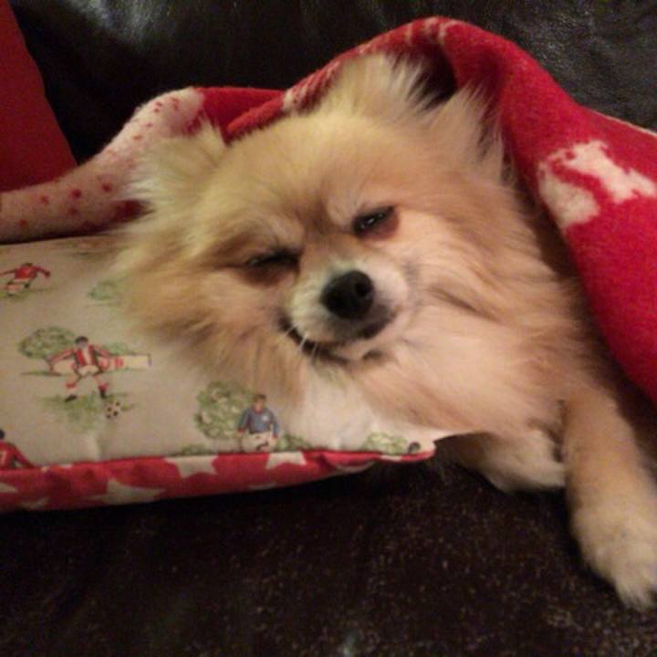 7ae7c498 80c6 4ce0 b2f6 c6784a0af15c